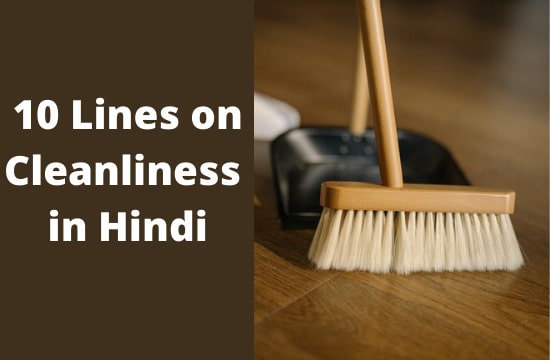10 Lines on Cleanliness in Hindi